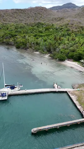 #473❤️💚💛💜💙🧡 #grenada🇬🇩🇬🇩🇬🇩🇬🇩🇬🇩 #473 #grenada #viralvideos_0707 #boatlife #six #thecaribbean #473❤️💚💛💜💙🧡 