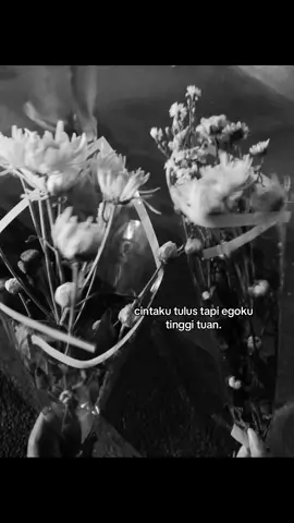 pdhl sayang #fyp #tinggiego #tuan 