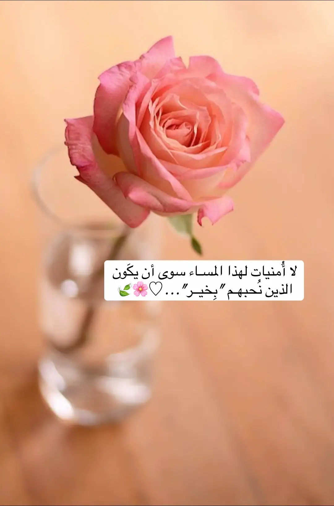 ﻻ أُمنيات لهذا المسـاء سوى أن يڪَون الذين نُحبهـم 