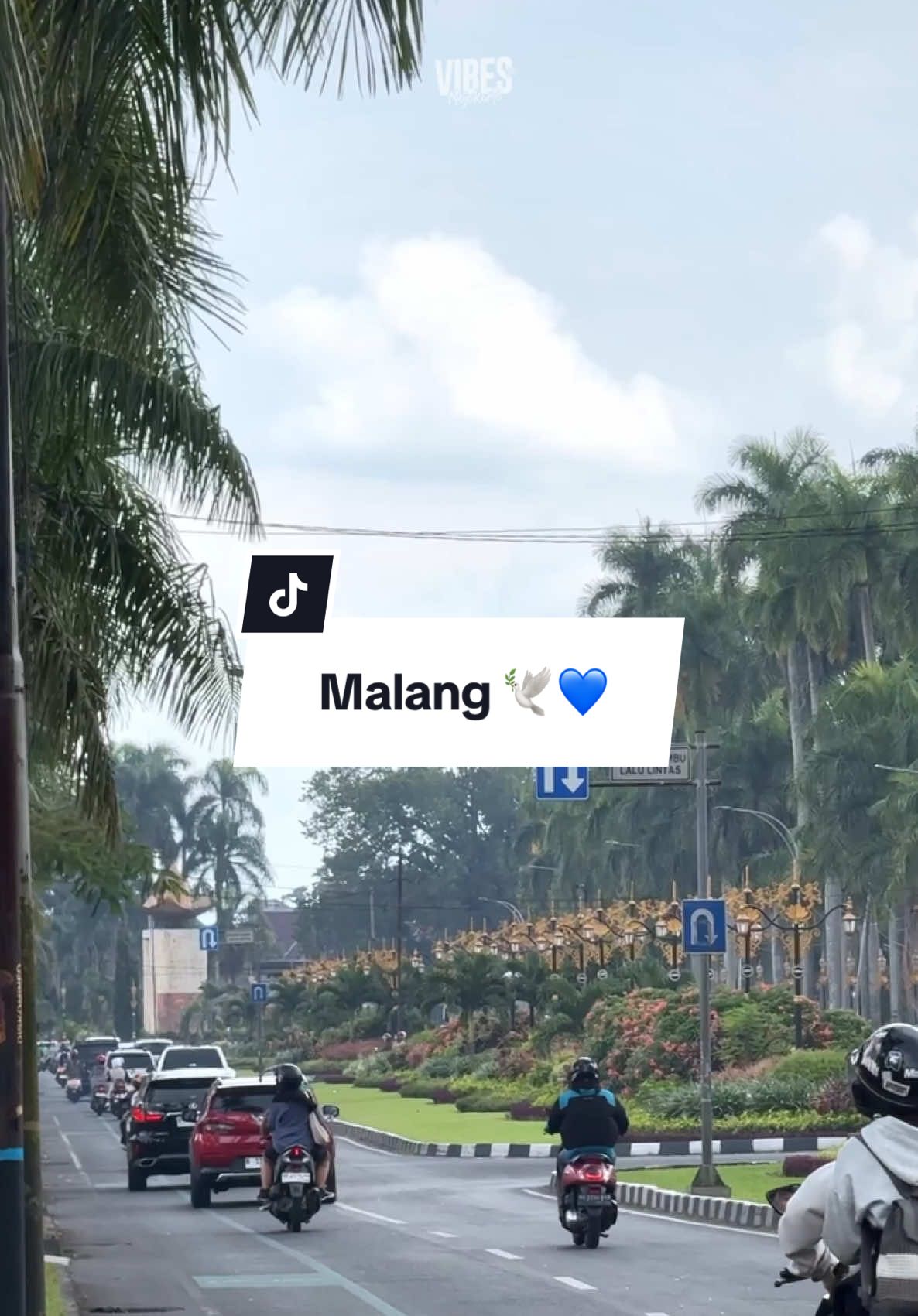 Siapa Yang Hatinya Tertinggal Disini ??🕊️ #malang #kotamalang #vibesmalang 