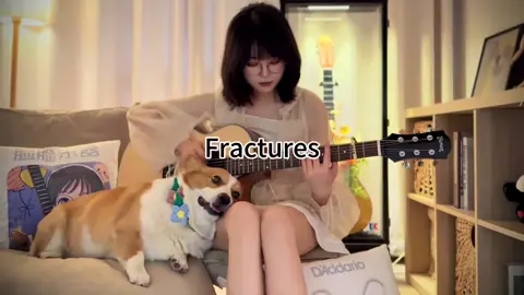 Fractures phiên bản gõ đầu Corgi 🤣 #trending #taphoanezha #guitar #corgi