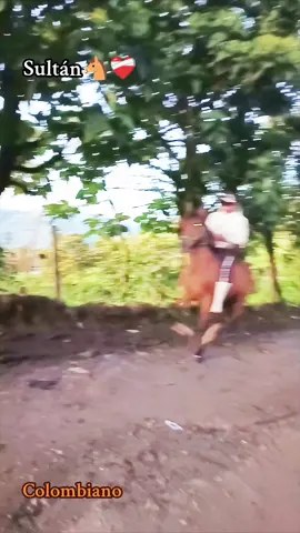 #caballocolombiano #chagras #paratiiiiiiiiiiiiiiiiiiiiiiiiiiiiiii 