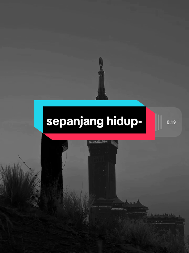 #sepanjanghidup #maherzain #maherzainofficial #fortherestofmylife #cover #coversong #coverlagu #lirik #sing #music #fyp 