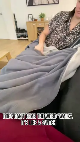 Why does the word ‘walk’ summon a whole different personality? 😭🐕🌀#dog#fouryoupage#funny#fypシ#pets#usaus#foryou 