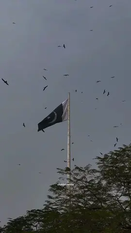 Desh Mere (Pakistan Zindabad) 🇵🇰♥️💪🏻 | Repost Request | #fyp #foryoupage #foryou #tiktok #lyrics #clips #trending #viral #abdullah #aesthetic #urdu #unfreezemyaccount #growmyaccount #viewsproblem #song #targetaudience #targetlikes #targetviewers #million 