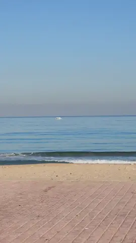#ملك_ايديك  #عمرو_دياب 
