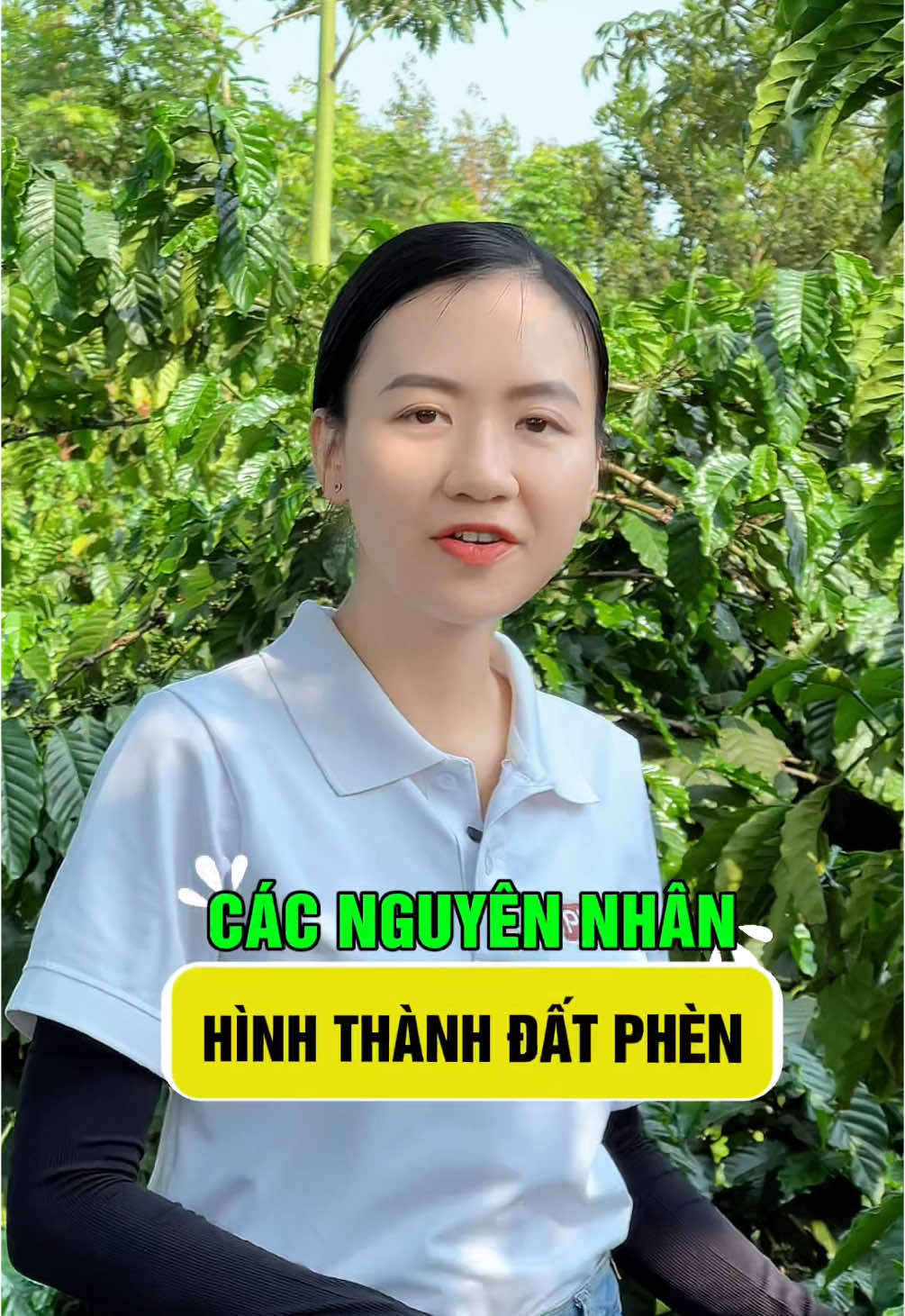 Cùng em Châu tìm hiểu nguyên nhân hình thành đất phèn các bác nha #đất #lamvuon #trongcay #nongnghiep #nongdan #chiasekienthuc #phvietnam #caitaodat 
