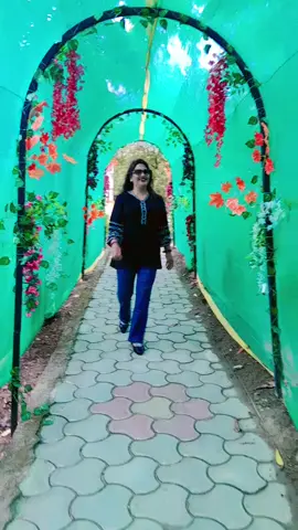 #creatorsearchinsights 