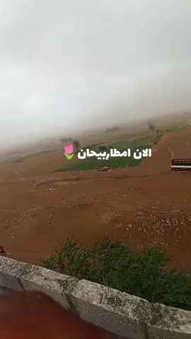 بيحان مباشر امطارخير#تصويري_احترافي_الاجواء👌🏻🕊😴 #شبوه_ديرتي_مسقط_الراس💕 