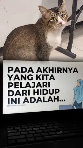 #CapCut 