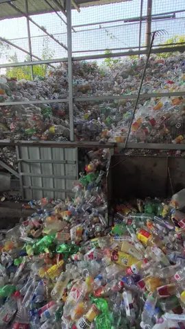 #PET #upcycling #reducereuserecycle #petplasticrecycling #strippet #bottleplastic 