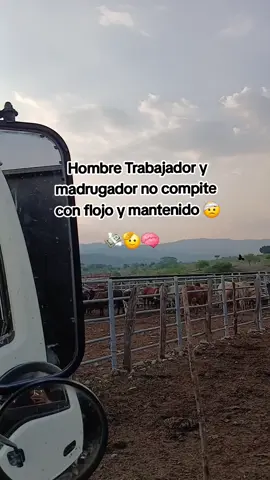 #hombretrabajador #nocompite #conmantenidos #araganes #🧃☘️💸 
