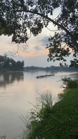 Angguak mahal #sembaranolangpulai🦅 #pacujalurkuantansingingi #kuansingkotajalur 
