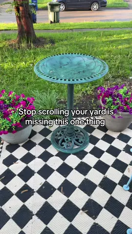 I absolutely love this bird Bath. It is stunning and the birds love it. #birdbath   #birdwatching  #birds  