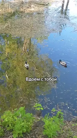 с тобой