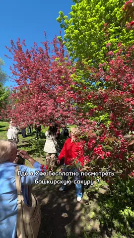 Адреса ниже 👇🏻 Не забудьте поставить лайк и любой смайл в комментариях! Спасибо❤️ 📍 • ул. Менделеева, д. 1/1 (ЖК Символ) • Возле ул Заки Валиди, д. 34 (Парк им. Ленина, Сад Матросова)