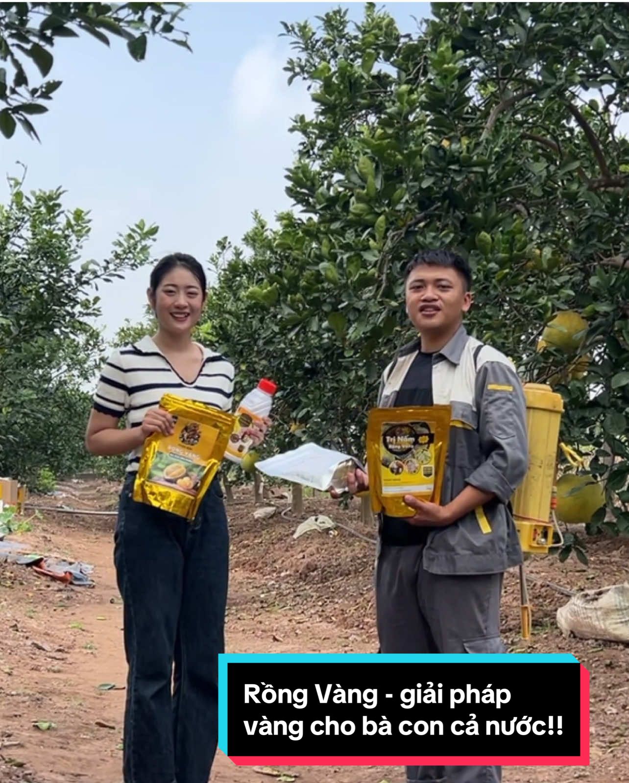 Em Linh lại tiếp tục chuyến hành trình mang giải pháp vàng cho bà con trồng trọt trên cả nước...! #dietcontrungRongVang #phanbonRongVang #caycongnghiep #nongNghiep 