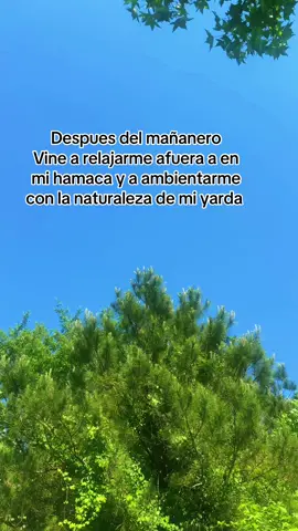 #relajate #relax en la #hamaca #hammock que me llegó de la china no es como las que hacen en nuestros paises, pero no te vas a caer #fyp #parati #productos #TikTokShop 