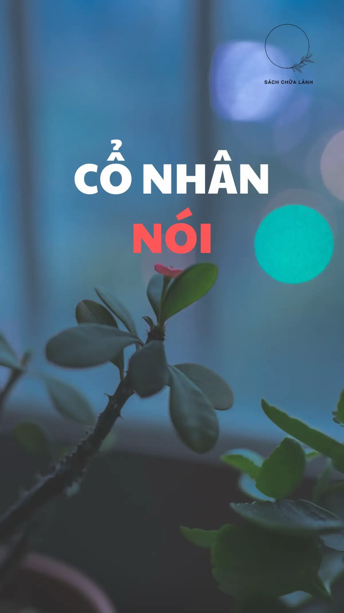 Trai Canh, Gái Giáp có tài #baihoccuocsong  #phattrienbanthan  #kinhnghiemsong  #LearnOnTikTok  #sachchualanh  #tuduytichcuc 