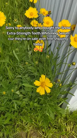 Great deal 