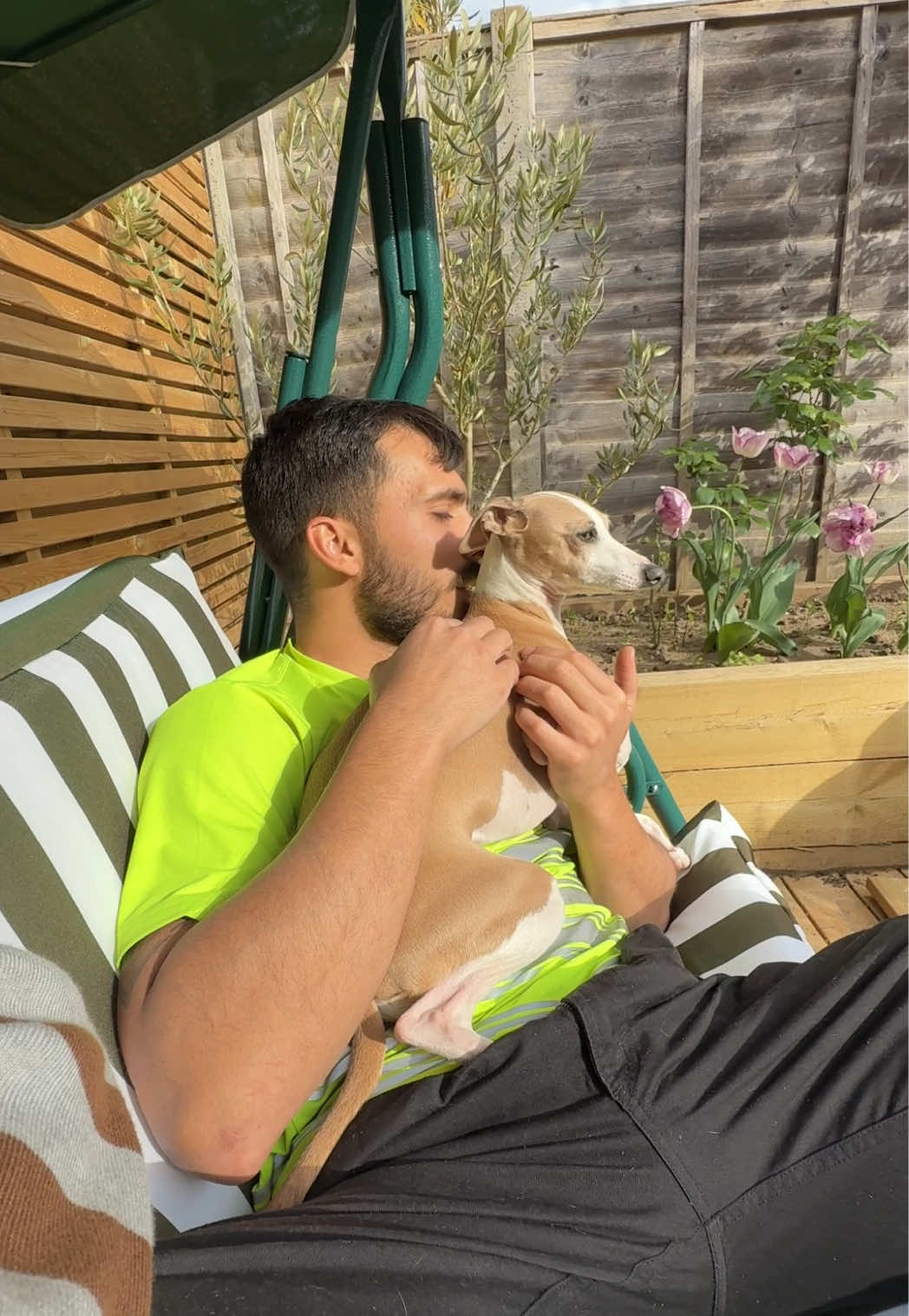 F1 dad is back again! Just in time for some cuddles in the sun ☀️  #f1 #dogdad #reuinon 