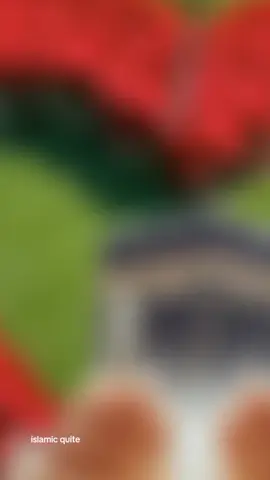 #tiktok#viral #viralvideo #fyppppppppppppppppppppppp #fouryoupage 