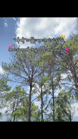 #စာသားcrd #ကိုကို့အပြုံးများအောက်မှာကျရှုံး💞