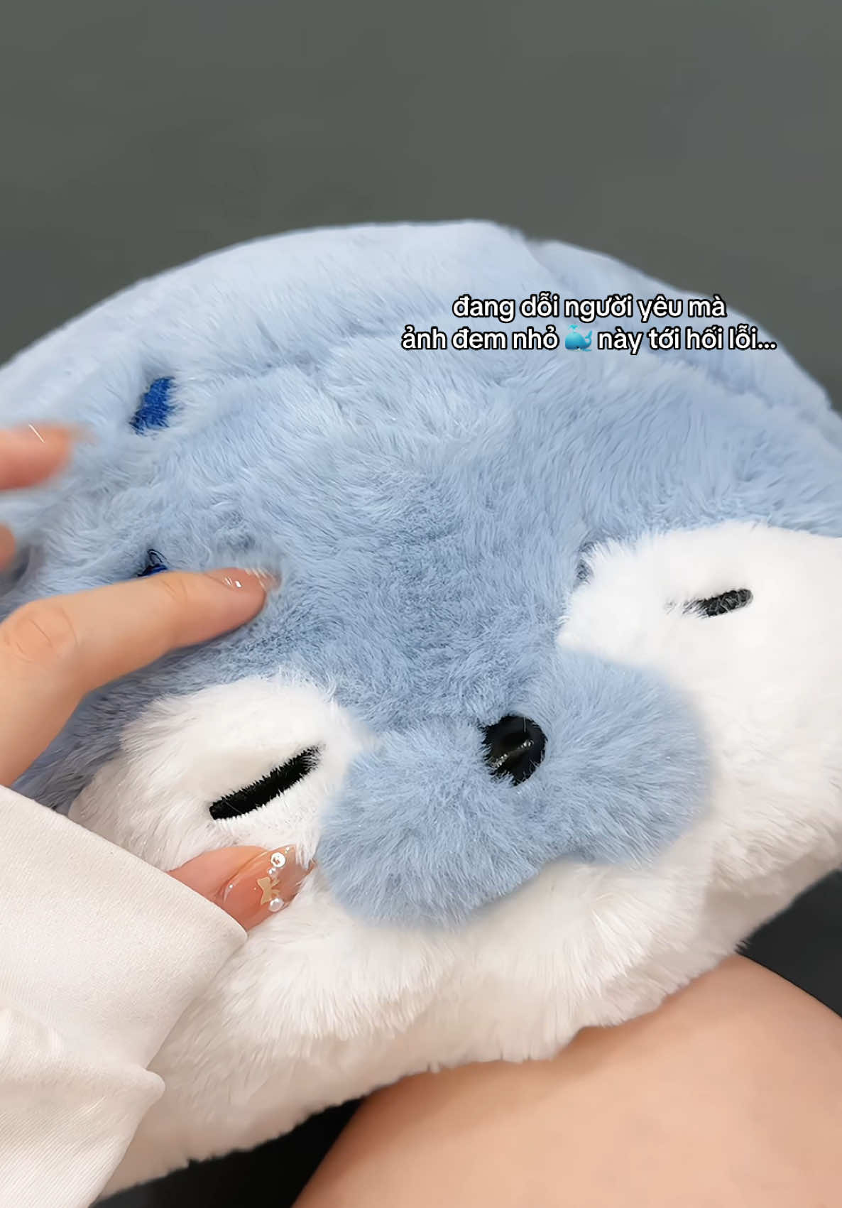 Nên hết dỗi không mấy bà?? 🐳 #gaubong #fyp #gaubongquatang #gaubongraica #cute #nguoiyeu #Love #giftideas 