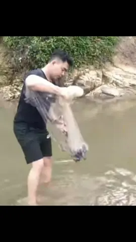 bolang si Bolang  #sibolang #fyp #sekdarhiburan #bcaxyz #jalaikan #mancing 