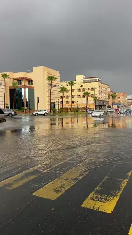 #اكسبلور #الهدا_الطائف #الهدا #الطائف_الان #الطائف #أمطار_أجواء_روووعه #الطايف_الان_اكسبلور #الطائف_ترند #الطائف_اكسبلور #غيوم #امطاراليوم #الان 