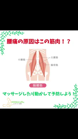 腰痛の原因は腸腰筋かも！貴方の腰痛はどこから！？毎日ストレッチして予防していこう#腰痛 #腰痛改善 #腸腰筋ストレッチ 