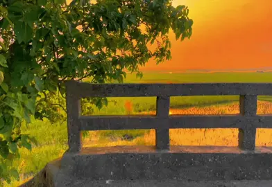আমি চাই কোনো এক দুঃখবতী আমার হোক..!!😊❤️‍🩹#fypシ゚viral #viralvideo #fypシ #viralpost #fyppppppppppppppppppppppp #fypage #foryoupage❤️😔 #foryoupage 