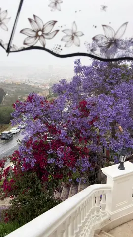 مطر اليوم خيال💜☔️#ابها #ابها_الان #مطر #اكسبلور 