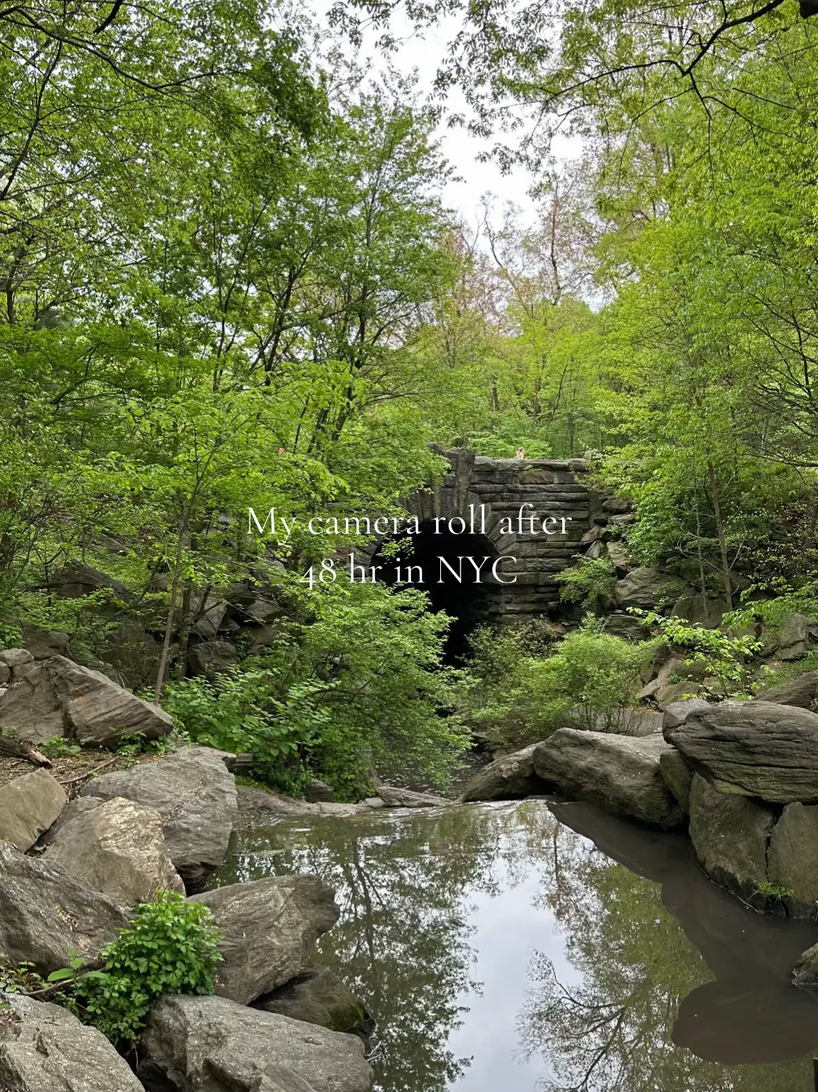 Safe to say I love New York #nyc #newyork #photodump 