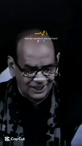 Ya Ali(a) Madad🚩#zakiextics110 #shiastatus #shia #yaali #islamic_video #poetry #foryoupage #standwithkasmir #trending #viralvideo #500k #tiktok #fyp #grow @TiktokPakistanOfficial 