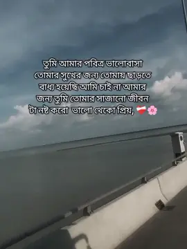 তুমি আমার পবিত্র ভালোবাসা  তোমার সুখের জন্য তোমায় ছাড়তে  বাধ্য হয়েছি আমি চাই না আমার  জন্য তুমি তোমার সাজানো জীবন  টা নষ্ট করো  ভালো থেকো প্রিয়, ❤️‍🩹🌸 #ariyan_ahmedshorif10 #lyricsvideo #শরিফ10 #ViralSongs #stutasvideo🦋 