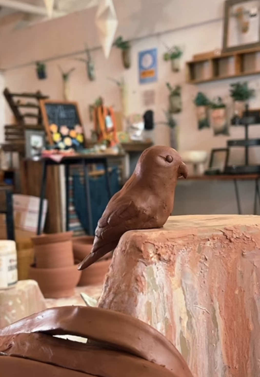 My special interests include animals and clay I often use one to get to the other #pottery #lovebird #sculpture 
