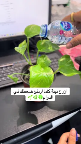 #اكسبلور #explore #foryou #foryoupage 