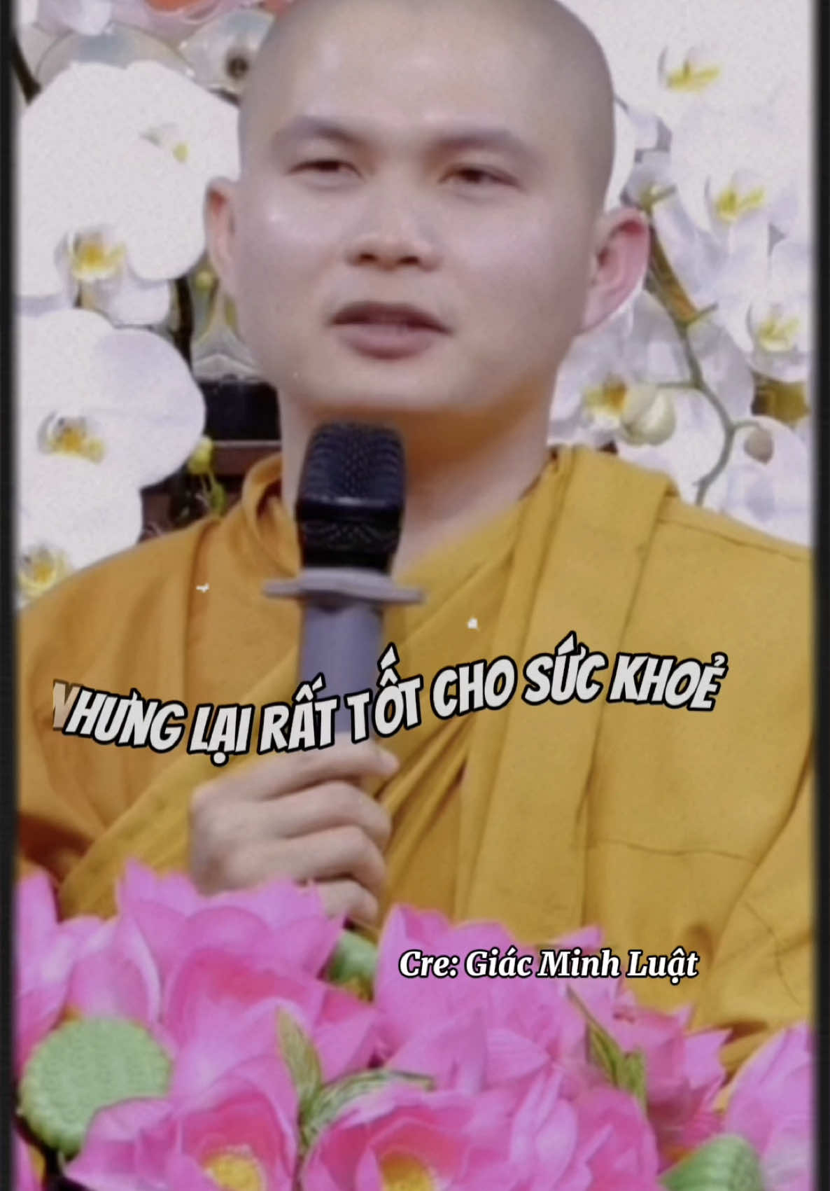 #sugiacminhluat #xuhuong #fcgiacminhluat #fansugiacminhluat #giacminhluat 