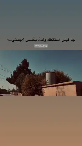 #تصويري_احترافي_الاجواء👌🏻🕊😴 #اشويرات #جنوب_الموصل_القياره #foryou #tiktok #بدون_هشتاق 