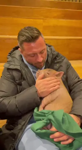 That time I fell in love with a pig 😂. I would of took him home if I could have 😍