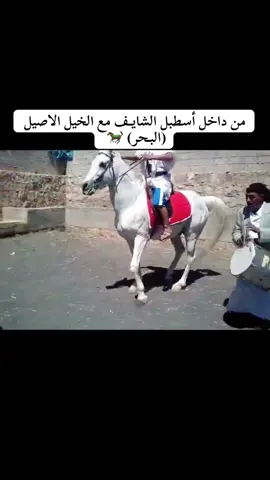#الخيل_العربي_الاصيل #الخيل_العربي_الاصيل🐎 #عمان🇴🇲_قطر🇶🇦_البحرين🇧🇭_الكويت🇸🇩 #اليمن🇾🇪المملكة🇸🇦 #اليمن_اصل_العرب #اليمن_اصل_العرب_والعروبة🇾🇪✌ #الشايف_الدهمي #دهم_شرابت_الدم_في_الملاقي_تقدم #الشعب_الصيني_ماله_حل😂😂 #عمان🇴🇲_قطر🇶🇦_البحرين🇧🇭_الكويت🇸🇩 #اليمن🇾🇪المملكة🇸🇦 #معاذ_الشايف #سعودية #الخيل_عشق_لاينتهي🐎❤️ #الخيل_العربي 