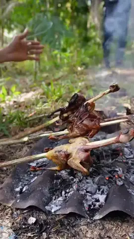 burung kunay #fyppppppppppppppppppppppp 