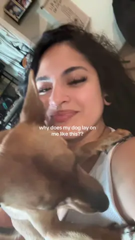 he falls asleep like this sometimes too idk 😩 #dogsoftiktok 