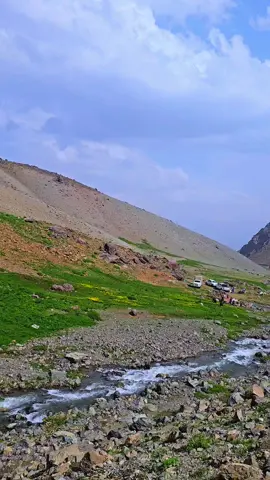 وەی گیان شیوەزا هەلـگورد