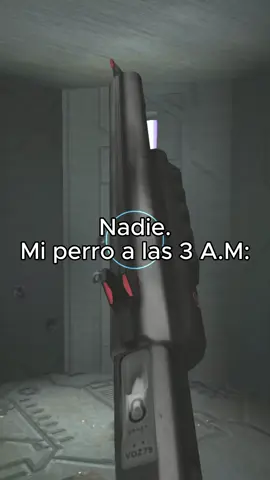 Lo mas normal de un perro en la madrugada cuando sabe que tienes que levantarte a las 5 de la mañana. #parati #foryou #Halo #perros #meme #videojuegos