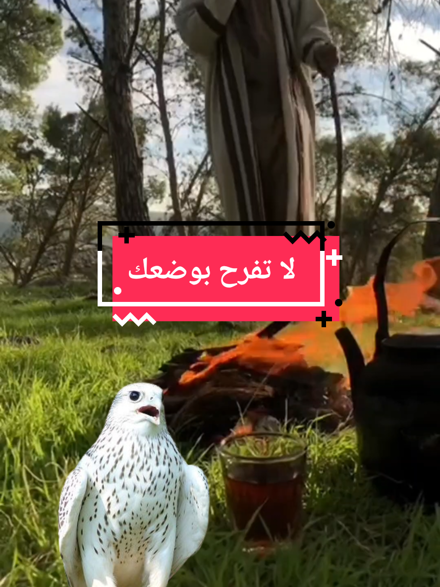 قصيده لا تفرح بوضعك ترى سود الايام #قصيد #شعر #ابيات_شعر #قصيده_شعر_بوح_كلام_من_ذهب #قصيده_شعر #ذواقين #شعراء_وذواقين_الشعر_الشعبي #شعرشعبي #بوح 