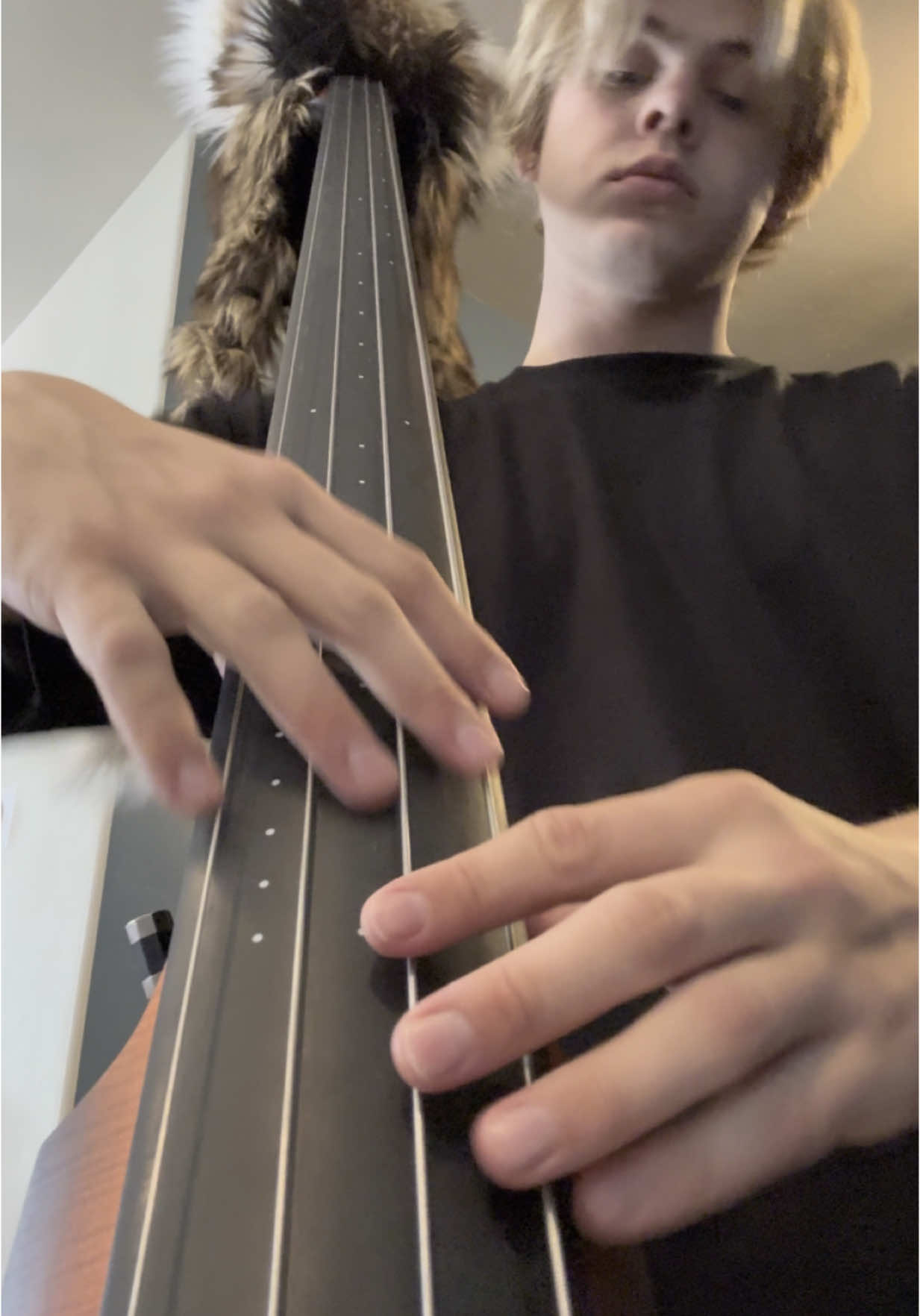 The Bends  - #bass #uprightbass #bassguitar #slapbass #primus #lesclaypool #flea #rhcp #guitar #music