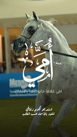 شيلة باسم امي 2025 شيلة مدح امي #استديو_نجوم_زفافي #لطلب_الشيلات_0505336824 #السعودية #الكويت #قطر  #تصميم_فيديوهات🎶🎤🎬تصميمي🔥 #تصميم_اسماء_حسب_الطلب #شيلة_باسم_امي #شيلة_امي #امي 