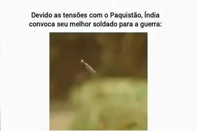 Índia BASED #fyp #foryoupage #video #india #paquistao #tiktokmeme #naoflopaporfavor #guerra 